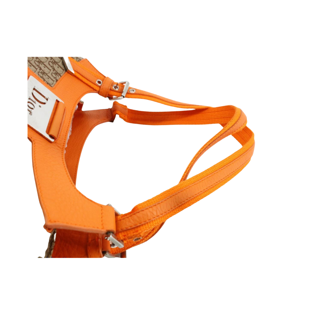 Christian Dior Street Chic Hobo Bag